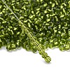 6/0 Glass Seed Beads SEED-A005-4mm-24-4