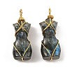 Natural Labradorite Pendants G-K338-30G-02-1