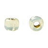 TOHO 11/0 Round Beads X-SEED-TR11-PF2109-4