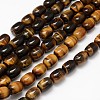 Natural Tiger Eye Barrel Beads Strands G-F240-01D-1