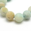 Natural Frosted Flower Amazonite Round Bead Strands G-M064-10mm-07-2