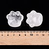 Natural Quartz Crystal Cat Paw Print Figurines DJEW-N003-03J-4