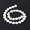 Natural Trochid Shell Beads Strands SSHEL-G023-16B-3