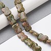 Natural Unakite Beads Strands G-K359-D09-01-2