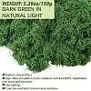 Polyester Artificial Moss DIY-CN0003-92B-2