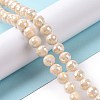 Electroplate Glass Beads Strands X-GLAA-E036-14A-2