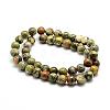 Natural Rhyolite Jasper Bead Strands G-G684-01-10mm-2