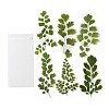 6Pcs PET Self Adhesive Plant Decorative Stickers AJEW-Q146-01A-1