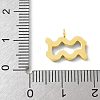 Ion Plating(IP) 304 Stainless Steel Micro Pave Cubic Zirconia Charms STAS-Z107-09G-01-3