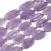 Natural Amethyst Beads Strands G-D365-C03-2