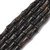 Natural Biotite Beads Strands G-L624-G09-12x5mm-2