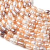 Natural Cultured Freshwater Pearl Beads Strands PA-CBABE82-01A-3