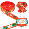 7M Flat Ethnic Style Polyester Ribbon OCOR-WH0046-74B-6