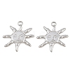 304 Stainless Steel Pendants SA-CBA0F84-05P-1