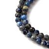 Natural Lapis Lazuli Beads Strands G-L629-B01-3mm-02-4