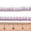 Handmade Lampwork Beads Strands BLOW-K001-01A-09-2