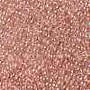 TOHO Round Seed Beads SEED-JPTR11-0631-2