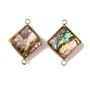 Natural Abalone Shell/Paua Shell Connector Charms KK-WH0031-05C-1