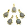 Natural Labradorite Pendants LS-G-O176J-07G-1