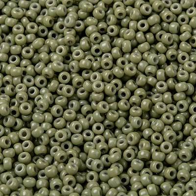 MIYUKI Round Rocailles Beads X-SEED-G008-RR4474-1