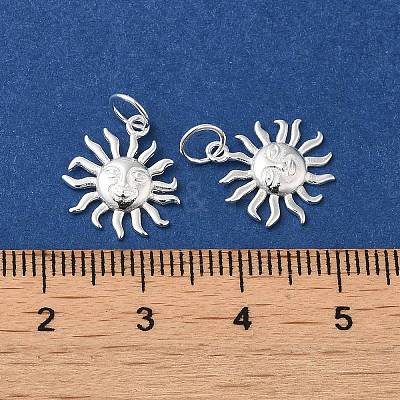 925 Sterling Silver Charms STER-NH0001-33S-1
