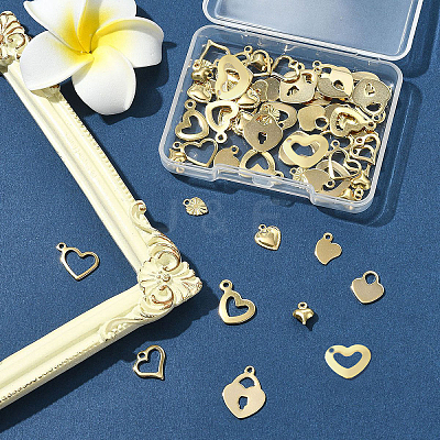 60Pcs 10 Styles Stainless Steel Charms STAS-FS0001-96-1