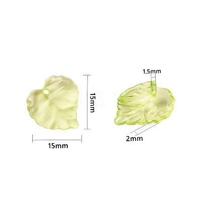 Transparent Acrylic Pendants DBLA410-9-1