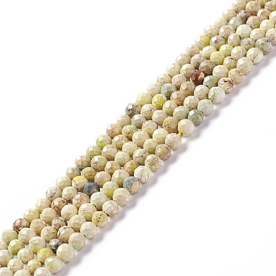 Natural Imperial Jasper Beads Strands G-L578-A07-1