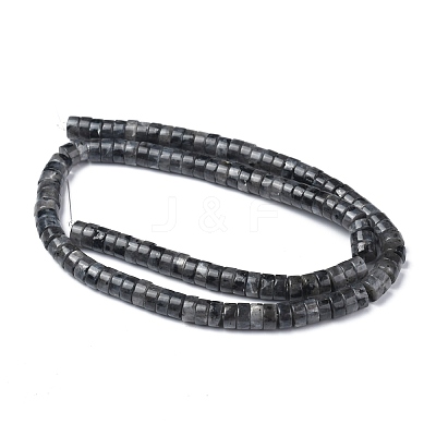 Natural Black Larvikite Beads Strands G-Z006-C31-1