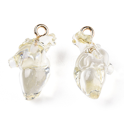 Transparent Resin Pendants RESI-E028-01G-09-1