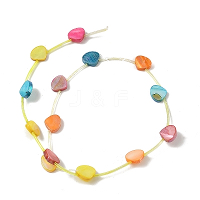 Natural Freshwater Shell Beads Strands SHEL-K006-52A-1