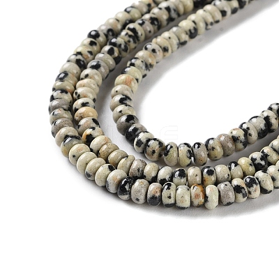 Natural Dalmatian Jasper Beads Strands G-K343-C36-01-1