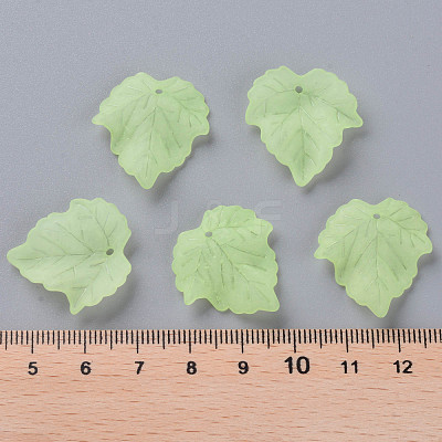 Transparent Frosted Acrylic Pendants X-PAF002Y-18-1