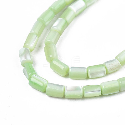 Natural Trochid Shell/Trochus Shell Beads Strands X-SHEL-N003-26-B08-1