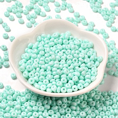 Baking Paint Glass Seed Beads SEED-B001-02A-14-1