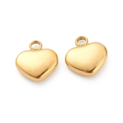 304 Stainless Steel Pendants STAS-Z009-19G-1