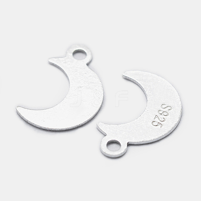 925 Sterling Silver Charms STER-I014-19S-1