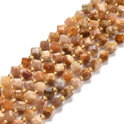 Natural Fossil Coral Beads Strands G-P463-48-1