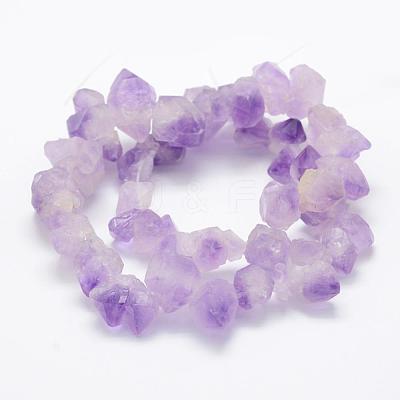 Natural Amethyst Beads Strands G-P322-09-1