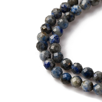 Natural Lapis Lazuli Beads Strands G-L629-B01-3mm-04-1