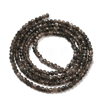 Natural Silver Sheen Obsidian Beads Strands G-E608-A02-A-1