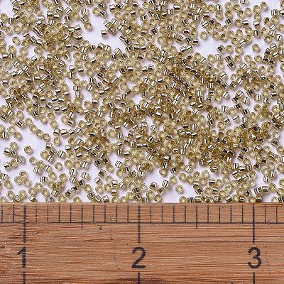 MIYUKI Delica Beads SEED-J020-DB2155-1