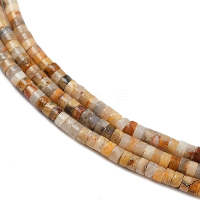 Natural Crazy Agate Beads Strands G-H230-82-1