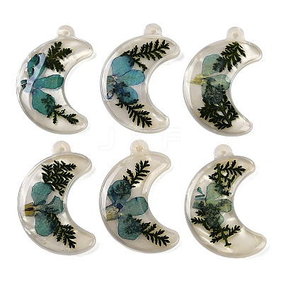 Epoxy Resin Pendants RESI-S09-01A-RS-1