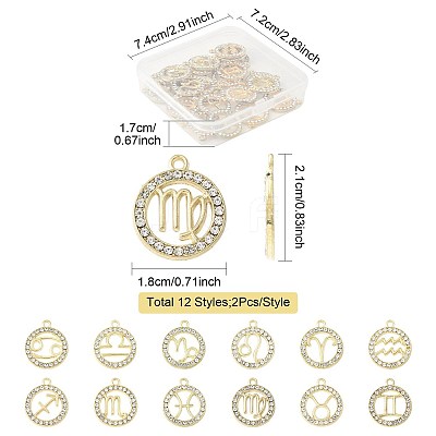 24Pcs 12 Styles Zinc Alloy Crystal Rhinestone Pendants FIND-FS0004-40-1