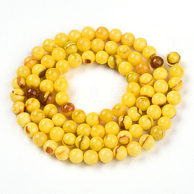 Natural Persian Jade Beads Strands G-A255-A02-04I-1