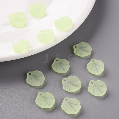 Transparent Frosted Acrylic Pendants MACR-S371-02A-728-1
