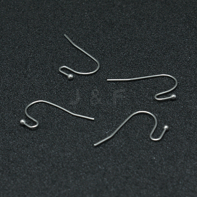 Tarnish Resistant 304 Stainless Steel Earring Hooks STAS-G140-73P-1