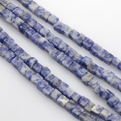 Cube Natural Blue Spot Jasper Beads Strands G-P057-05-1