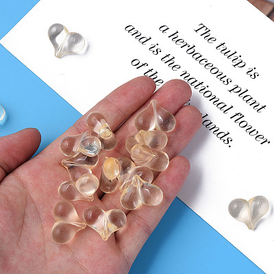 Transparent Acrylic Beads MACR-S373-70-B13-1